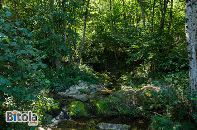 "The Real Pool" on Caparska River, #Capari village, #Bitola Municipality, #Macedonia