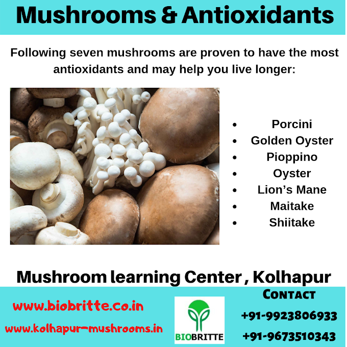 Mushrooms and antioxident properties