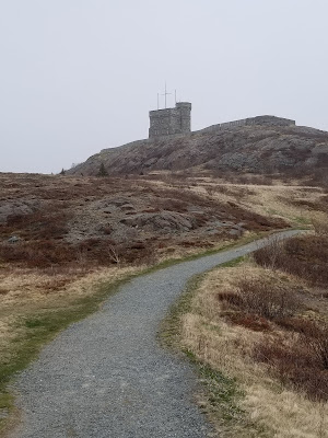 Signal Hill Newfoundland.