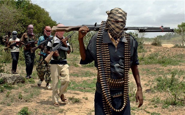 Two Al-Shabaab members were killed in an explosion in Garsa County