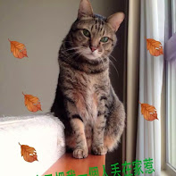 相片