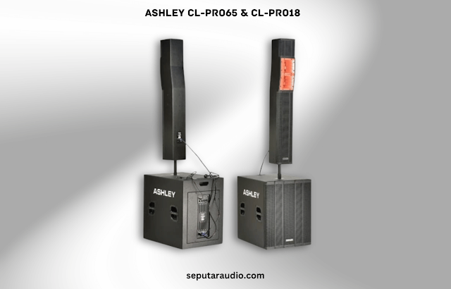 Speaker Ashley CL-Pro65 & CL-Pro18