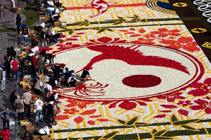 Belgium Makes Enormous Flower 'Carpet' Out of 600,000 Blooms To Celebrate 150 Years of Friendship With Japan