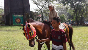 10 Fakta Menakjubkan Tentang Olahraga Berkuda yang Mungkin Belum Kamu Ketahui