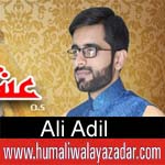 http://www.humaliwalayazadar.com/2018/03/ali-adil-manqabat-2018.html