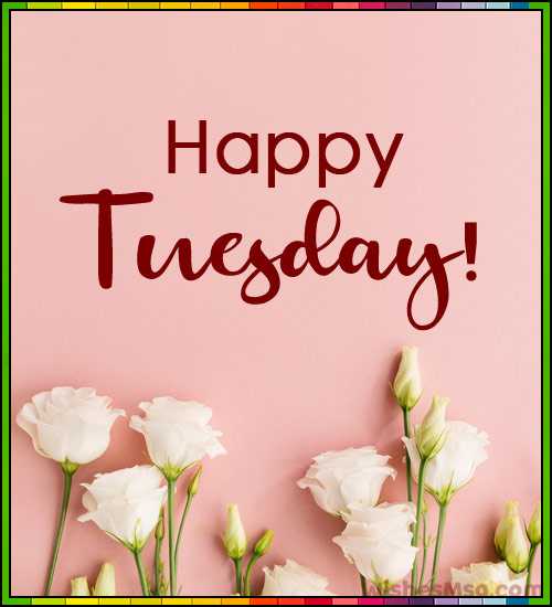 good morning happy tuesday
