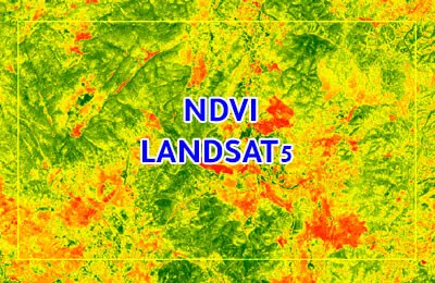 Calculate NDVI from Landsat 5 images