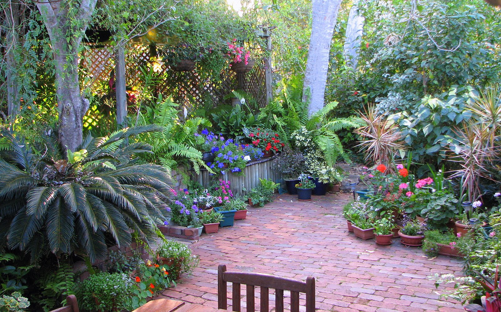 My Dry Tropics Garden: All About My Place My Dry Tropics Garden: All About My Place on Dry Garden Design
id=71517