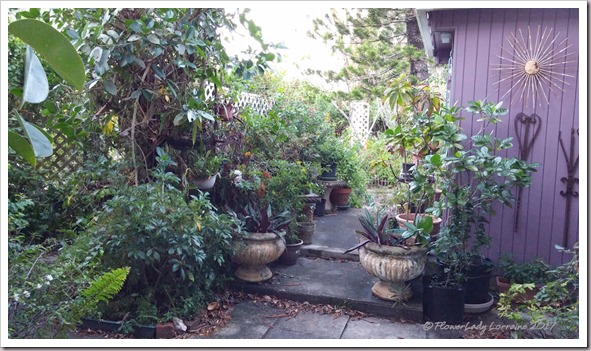 01-23-front-patio