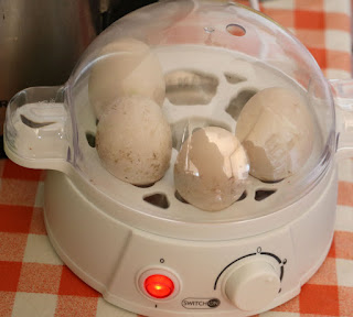 Duck eggs in my new egg cooker thing