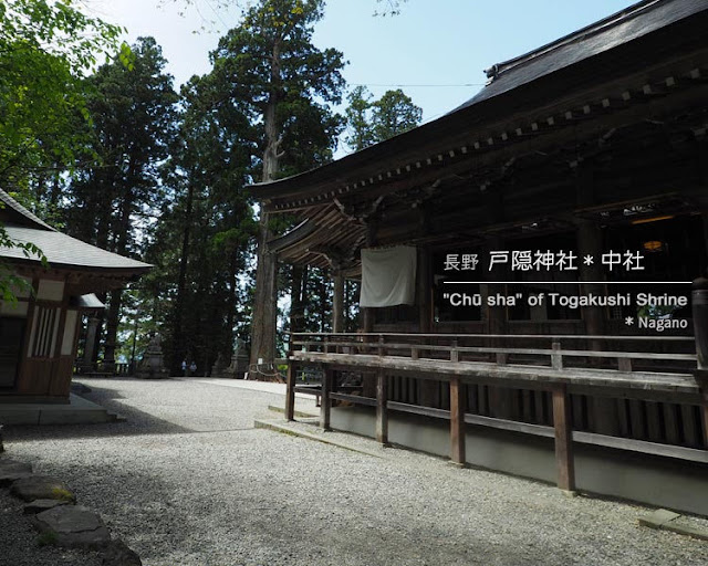 戸隠神社：中社