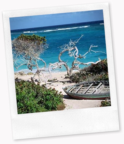 Bathsheba-Beach-Barbados-001