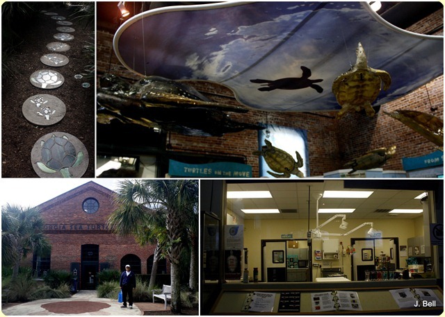 71 Okefenokee NWR 2012-1337