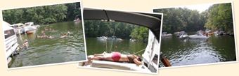 View Pickwick 4