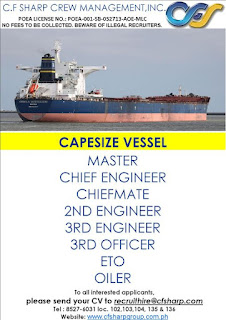 job vacancy at bulk carrier capesize