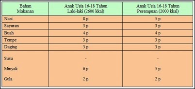 Angka Kecukupan Gizi 4