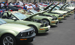 Legend Lime Mustangs