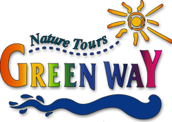 Greenwaytours