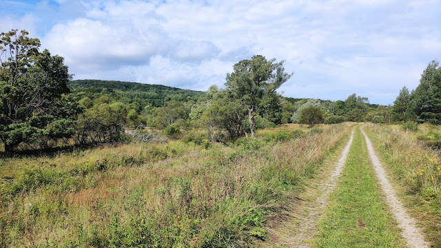 Beskid Niski - szlaki, co zobaczyć, atrakcje regionu