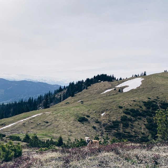 Trainsjoch, berg, Tirol, bergtipp, tiroltipp, ausflugstipp, Tiroler berge, Bergwelten