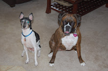 Roxy & Rosco