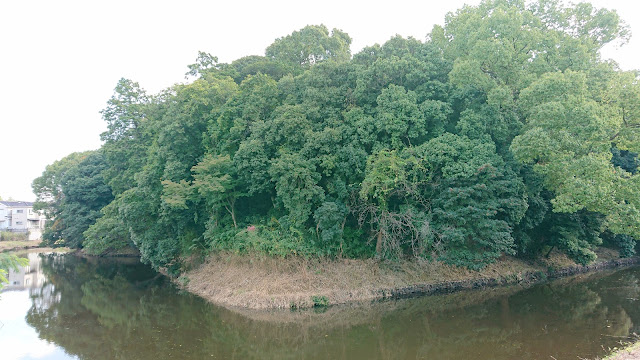 安閑天皇陵(羽曳野市)