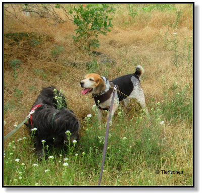 Emma und Lotte