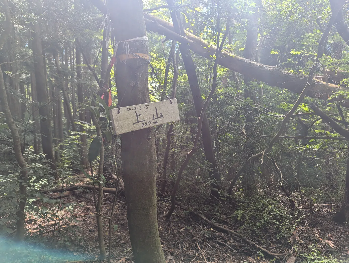 上山山頂