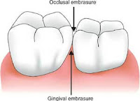 landmarks of the teeth | Elevated landmarks & Depresses landmarks.