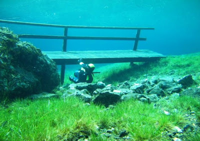 Indahnya Padang Rumput Unik Di Bawah Air [ www.BlogApaAja.com ]