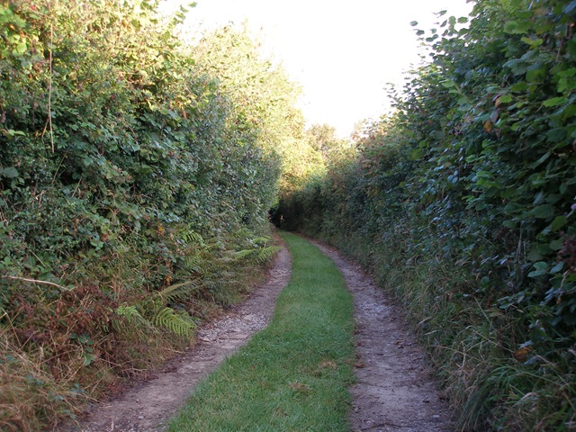 29th_september_08