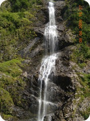 DSCN8211