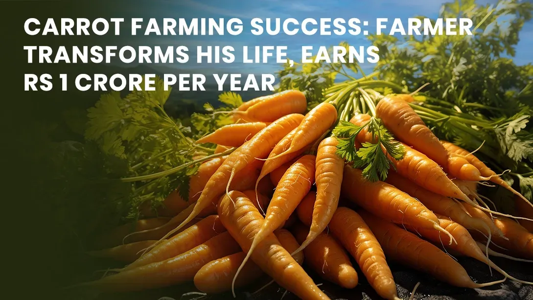 Carrot Farming Success: Farmer Transforms His Life, Earns Rs 1 Crore Per Year