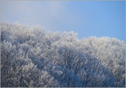 Ice - Tn010