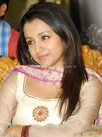 Trisha, Latest, Hot, Cleavage, Photos