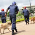 Breaking: Gunmen Shoot Sleeping NSCDC Guard Dead In Benin City