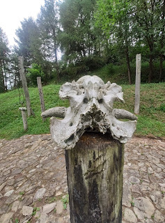 Skansen słowiański w Havranoku na Słowacji