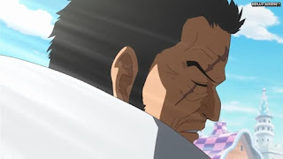 ワンピースアニメ ドレスローザ編 634話 海軍大将 藤虎 イッショウ Fujitora | ONE PIECE Episode 634