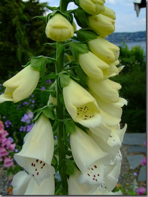 046