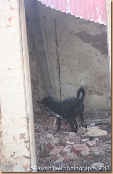 Tess exploring the station ruins