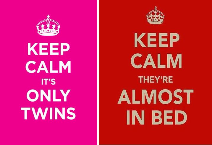 Being A Twin Mom Quotes. QuotesGram