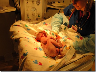 4.  Knox getting dried off
