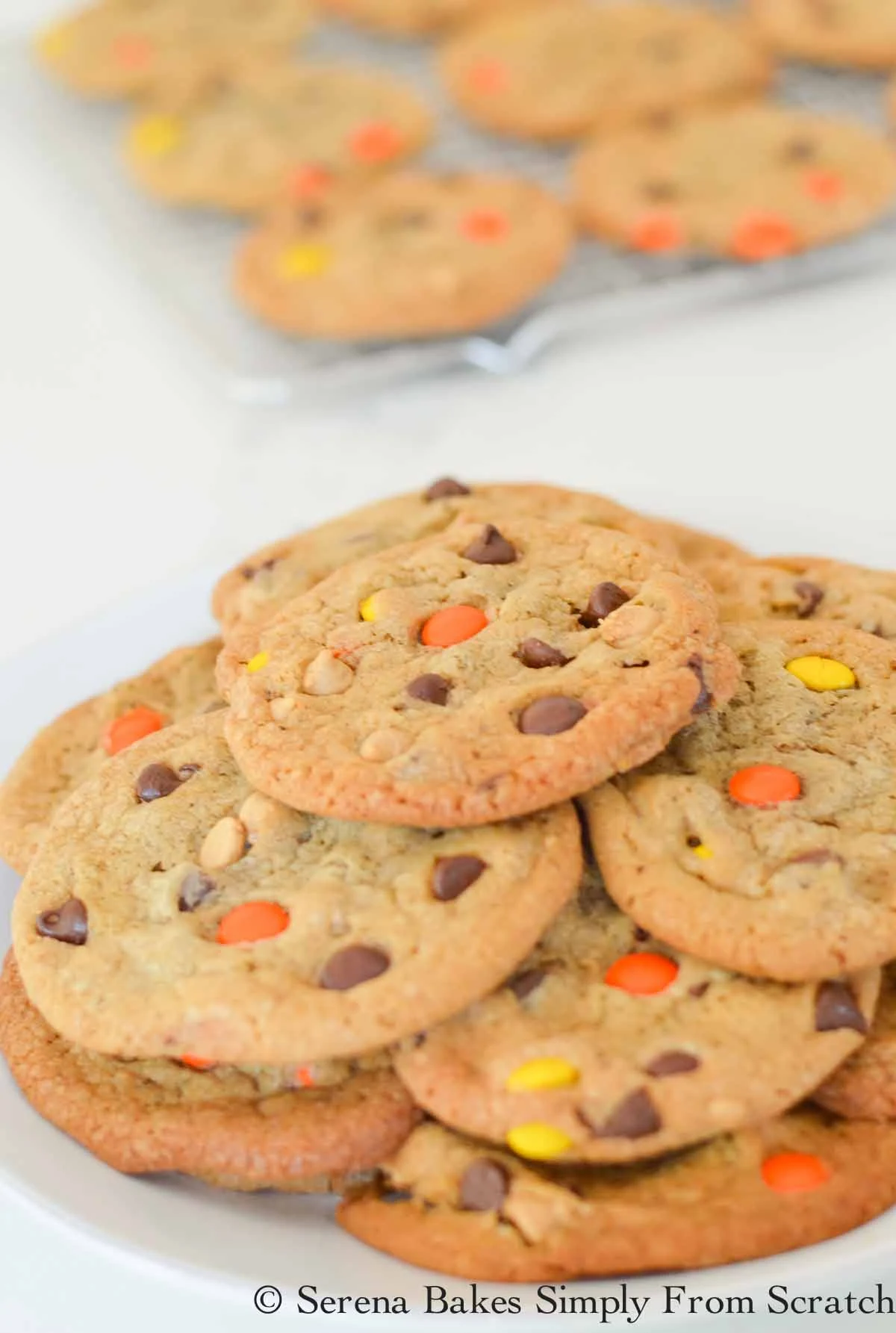 Brown Butter Reeses Pieces Peanut Butter Chip Chocolate Chip Cookies stacked on a white plate with cookies in the background on a cooling rack.