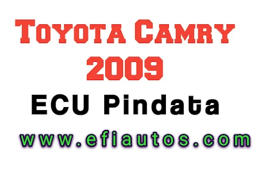 Camry 2009 ECU Pindata