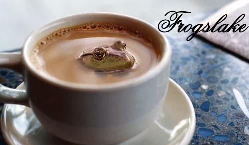 Frogslake