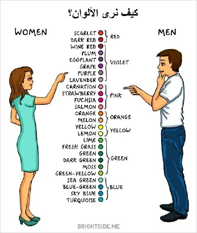 المرأة والرجل