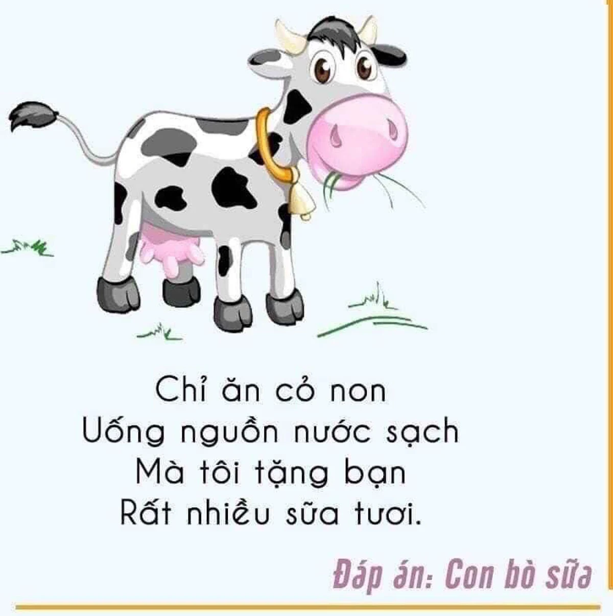 Đáp án con bò sữa