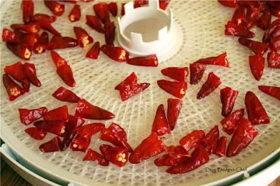 how to dehydrate chili apache jalapeno habenero peppers