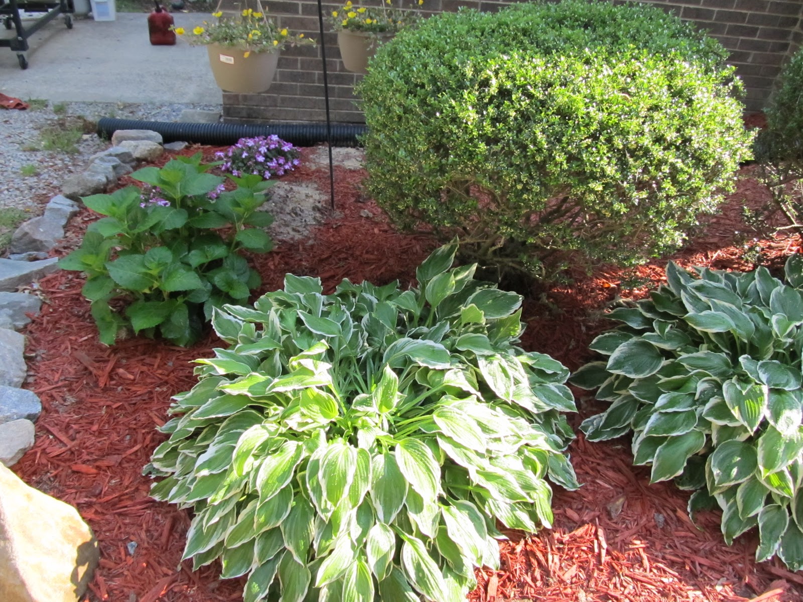 10 in 2010--The Journey of a Lifetime: Landscaping on a budget