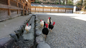 宮城県仙台市 大崎八幡宮